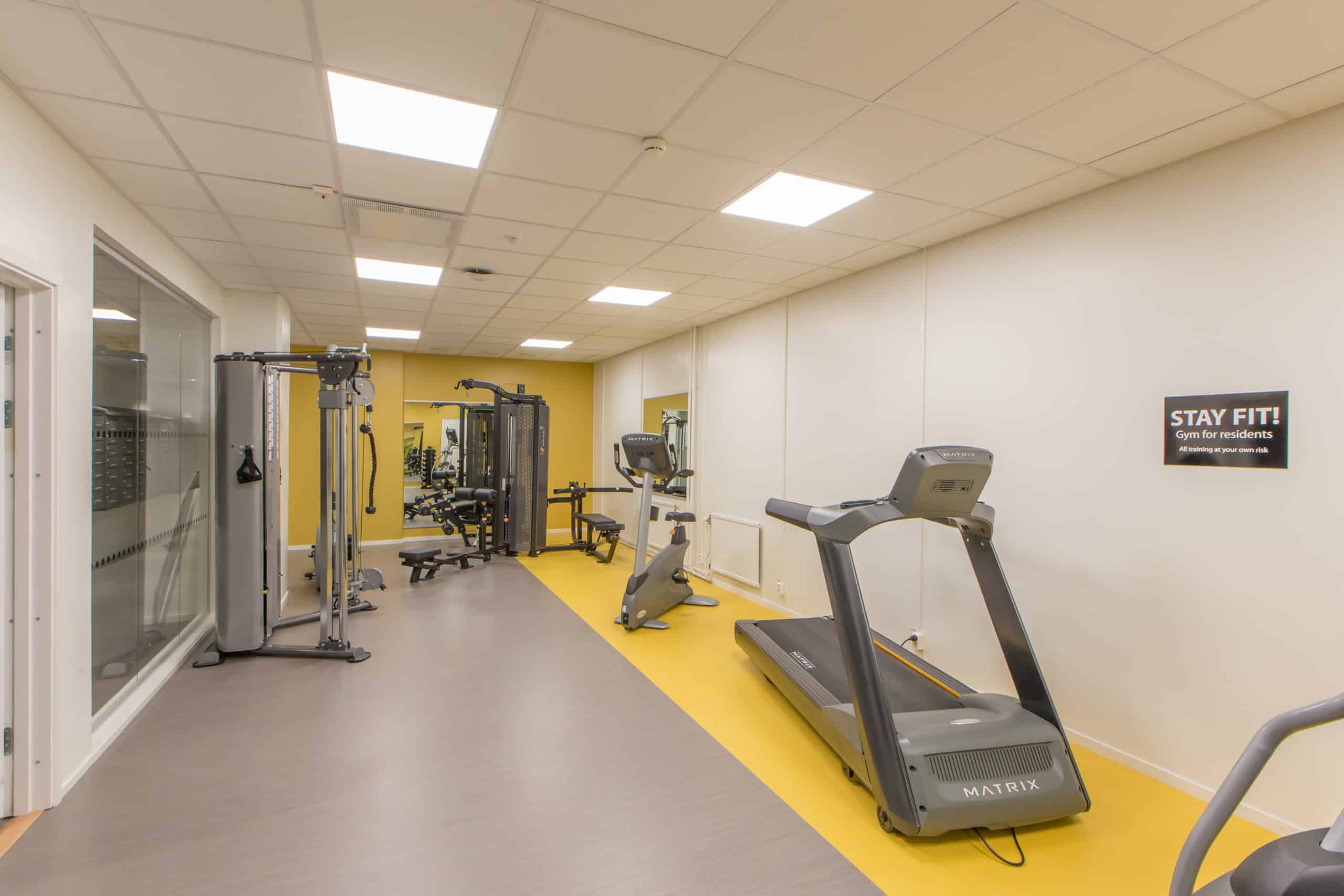 “Gym”